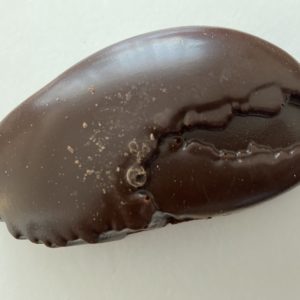 Chocolate Peanut Butter Lobster Claw